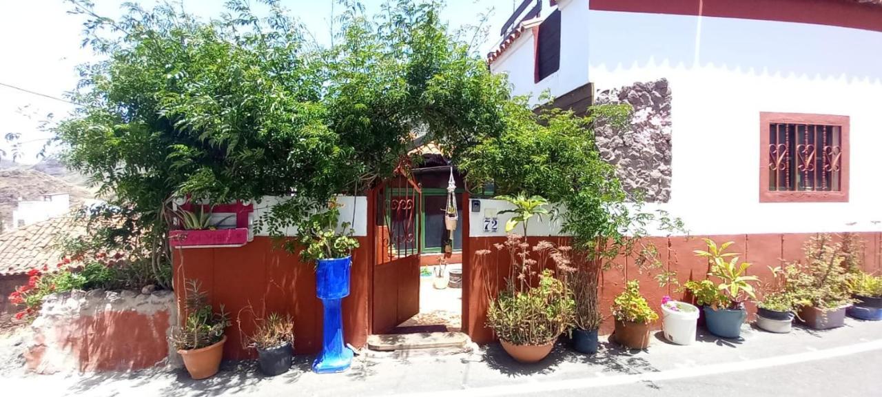 Ecoartejeda Casita Original 빌라 외부 사진